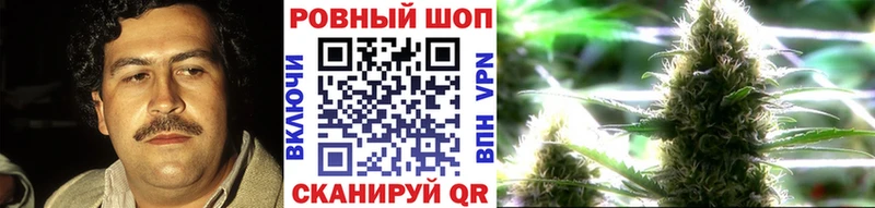 Наркошоп купить КОКАИН  Псилоцибиновые грибы  Codein  Меф  A-PVP  ГАШ  Шагонар